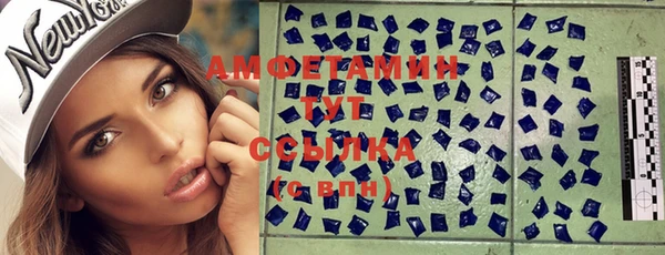 твердый Арсеньев