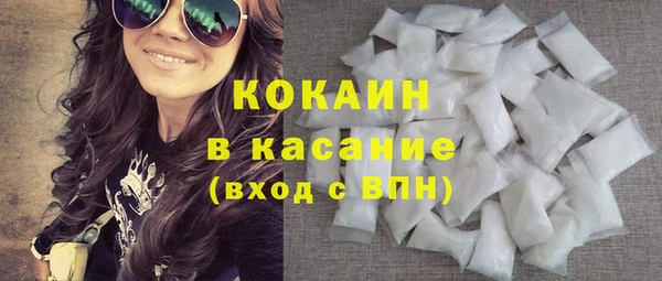 твердый Арсеньев