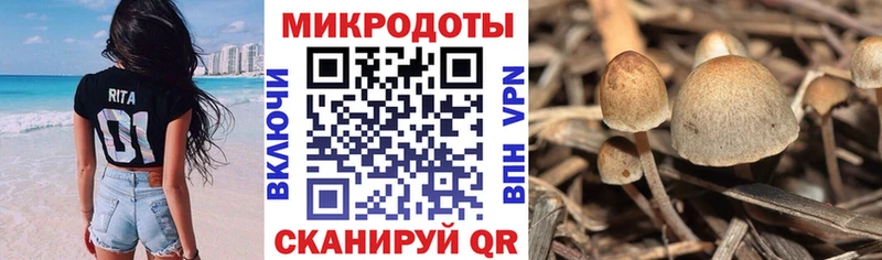 блэк спрут ссылка  Иннополис  маркетплейс официальный сайт  Галлюциногенные грибы MAGIC MUSHROOMS 